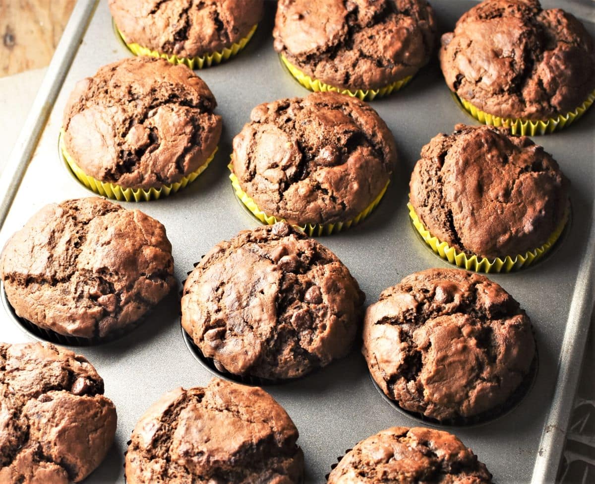 Side view of chocolate pumpkin muffins in muffin pan.