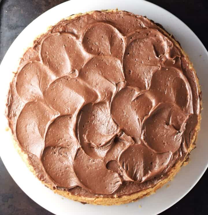 Chocolate hazelnut frosted cake on white plate.